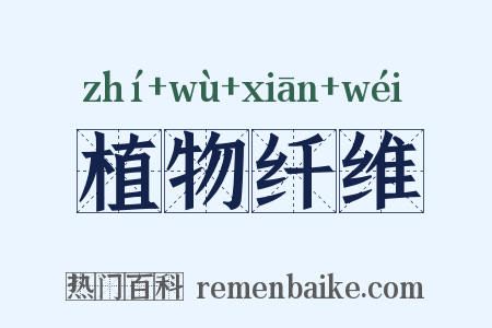 植物纤维是什么意思的图片